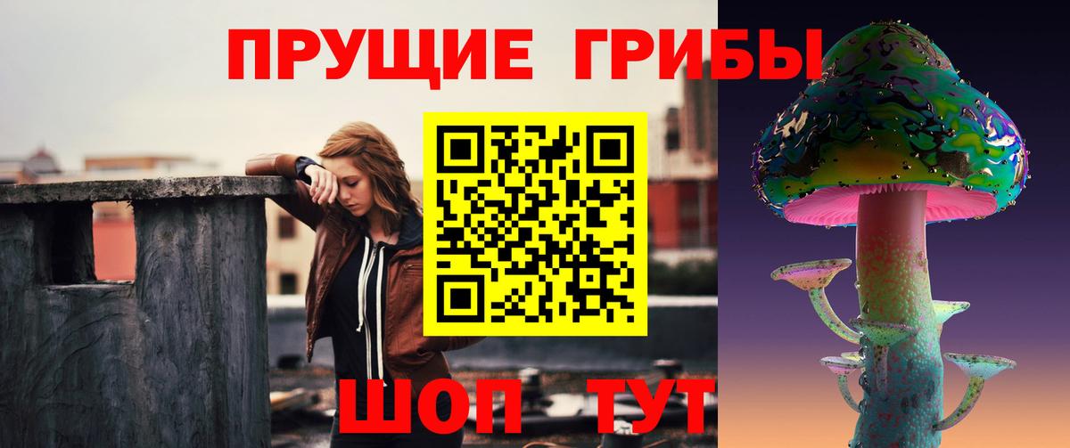 Псилоцибиновые грибы ЛСД Вятские Поляны