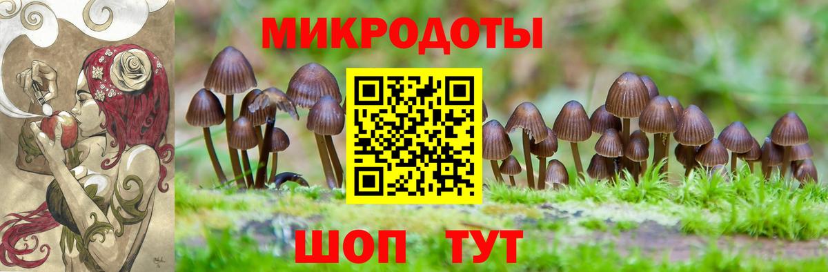 Вятские Поляны  Галлюциногенные грибы ЛСД  Вход с VPN  Псилоцибиновые грибы Magic Shrooms 